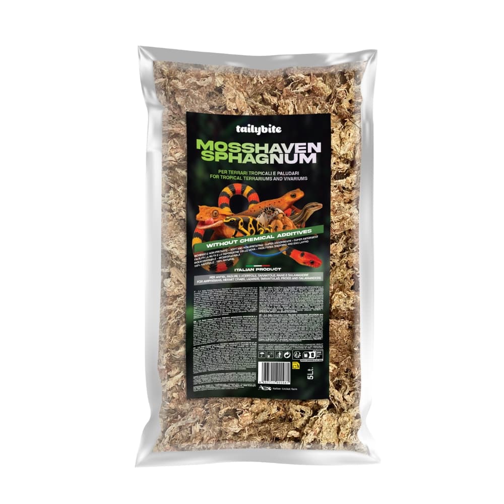 Mosshaven Sphagnum