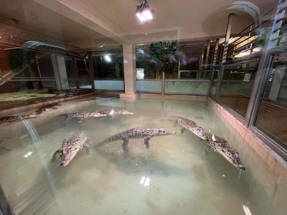 Krokodýlí ZOO Protivín