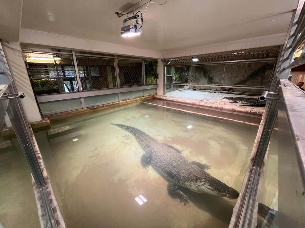 Krokodýlí ZOO Protivín